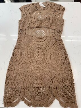 bebe Crochet Lace Mini Dress in Taupe